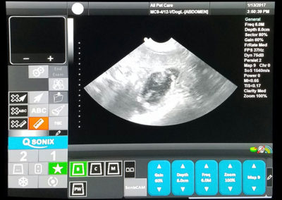 Ultrasound-at-30-days-pregnant2